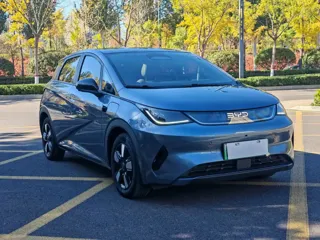 BYD Dolphin 2025 купить из Китая, цена 2 747 000 ₽ — Suifenhe Auto