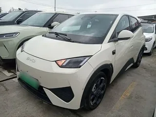 BYD Seagull 2025 купить из Китая, цена 1 440 000 ₽ — Suifenhe Auto
