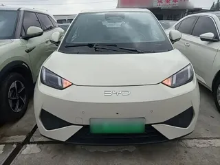 BYD Seagull 2025 купить из Китая, цена 1 440 000 ₽ — Suifenhe Auto