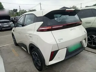 BYD Seagull 2025 купить из Китая, цена 1 440 000 ₽ — Suifenhe Auto