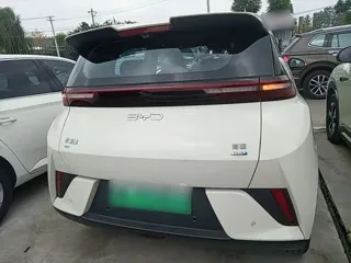 BYD Seagull 2025 купить из Китая, цена 1 440 000 ₽ — Suifenhe Auto
