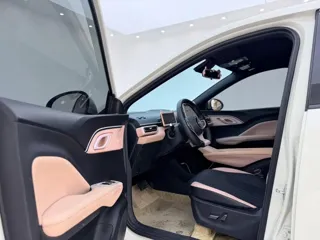 BYD Seagull 2025 купить из Китая, цена 1 345 000 ₽ — Suifenhe Auto