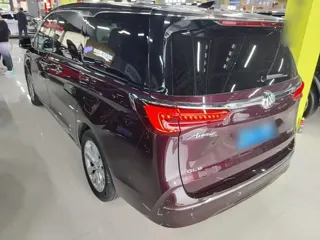 Buick GL8 2025 купить из Китая, цена 6 389 000 ₽ — Suifenhe Auto