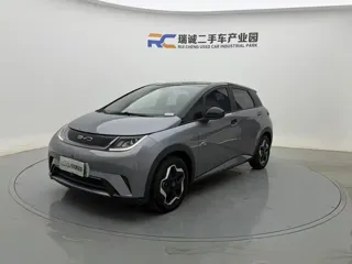 BYD Dolphin 2022 купить из Китая, цена 1 383 000 ₽ — Suifenhe Auto