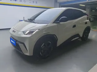 BYD Seagull 2024 купить из Китая, цена 1 258 000 ₽ — Suifenhe Auto