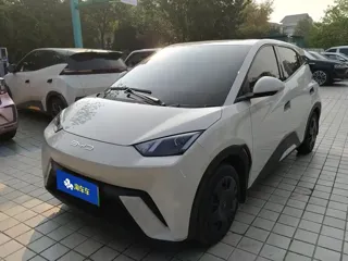 BYD Seagull 2024 купить из Китая, цена 1 170 000 ₽ — Suifenhe Auto