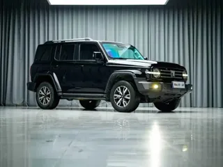 Tank 300 2023 купить из Китая, цена 4 074 000 ₽ — Suifenhe Auto