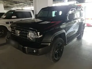 Tank 300 2023 купить из Китая, цена 4 187 000 ₽ — Suifenhe Auto