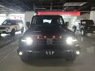 Tank 300 2023 купить из Китая, цена 4 187 000 ₽ — Suifenhe Auto