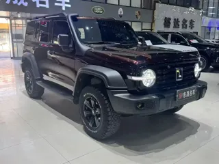 Tank 300 2023 купить из Китая, цена 4 314 000 ₽ — Suifenhe Auto