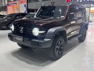 Tank 300 2023 купить из Китая, цена 4 314 000 ₽ — Suifenhe Auto