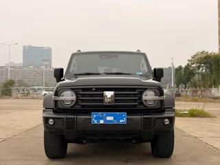 Tank 300 2023 купить из Китая, цена 4 236 000 ₽ — Suifenhe Auto