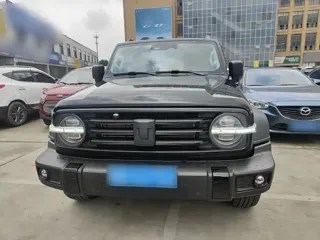 Tank 300 2023 купить из Китая, цена 4 086 000 ₽ — Suifenhe Auto