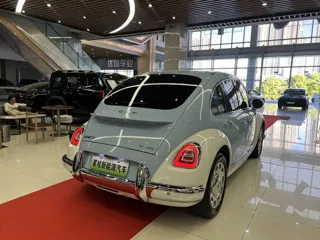 ORA Ballet Cat 2023 купить из Китая, цена 1 837 000 ₽ — Suifenhe Auto
