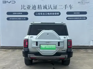 Fangchengbao Bao 8 2024 купить из Китая, цена 9 136 000 ₽ — Suifenhe Auto