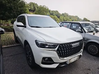 Haval H6 2024 купить из Китая, цена 1 688 000 ₽ — Suifenhe Auto