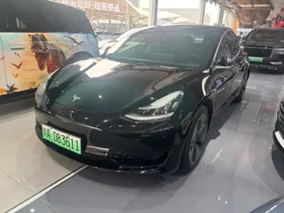 Tesla Model 3 2020 купить из Китая, цена 4 043 000 ₽ — Suifenhe Auto