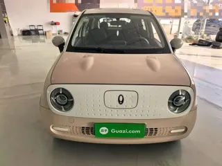 ORA Black Cat 2021 купить из Китая, цена 1 041 000 ₽ — Suifenhe Auto