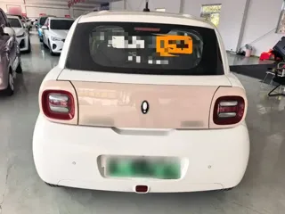 ORA Black Cat 2021 купить из Китая, цена 1 041 000 ₽ — Suifenhe Auto