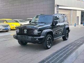 Tank 300 2026 купить из Китая, цена 5 495 000 ₽ — Suifenhe Auto