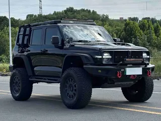 Tank 300 2025 купить из Китая, цена 6 074 000 ₽ — Suifenhe Auto