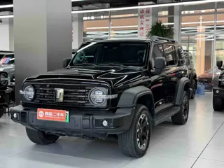 Tank 300 2025 купить из Китая, цена 5 285 000 ₽ — Suifenhe Auto
