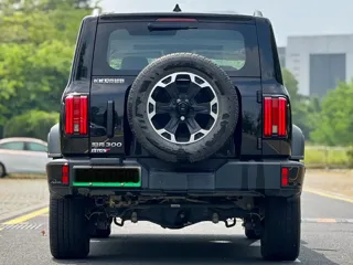 Tank 300 2025 купить из Китая, цена 5 461 000 ₽ — Suifenhe Auto
