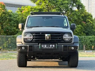 Tank 300 2025 купить из Китая, цена 5 476 000 ₽ — Suifenhe Auto