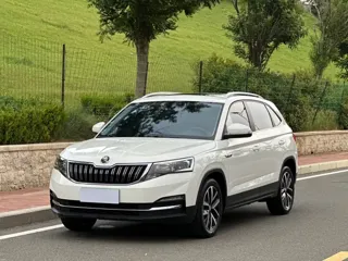 Skoda Kamiq 2022 купить из Китая, цена 1 643 000 ₽ — Suifenhe Auto