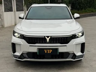 Voyah Free 2024 купить из Китая, цена 4 056 000 ₽ — Suifenhe Auto