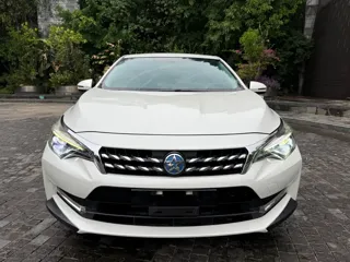 Venucia D60 2018 купить из Китая, цена 1 167 000 ₽ — Suifenhe Auto