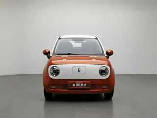 ORA Black Cat 2021 купить из Китая, цена 1 051 000 ₽ — Suifenhe Auto