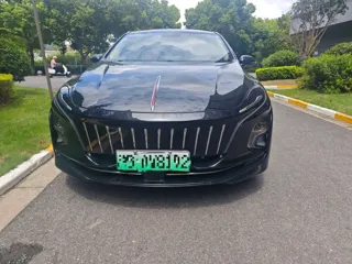 Hongqi E-QM5 2020 купить из Китая, цена 971 000 ₽ — Suifenhe Auto