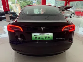 Tesla Model 3 2023 купить из Китая, цена 4 038 000 ₽ — Suifenhe Auto