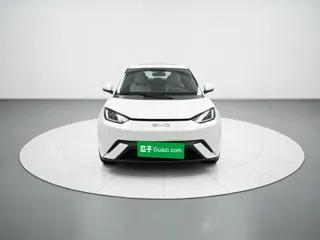 BYD Seagull 2024 купить из Китая, цена 1 215 000 ₽ — Suifenhe Auto