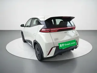 BYD Seagull 2024 купить из Китая, цена 1 215 000 ₽ — Suifenhe Auto
