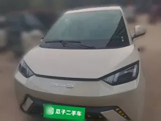BYD Seagull 2023 купить из Китая, цена 1 235 000 ₽ — Suifenhe Auto