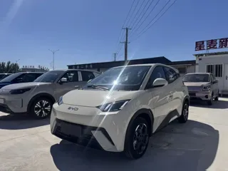 BYD Seagull 2026 купить из Китая, цена 1 418 000 ₽ — Suifenhe Auto