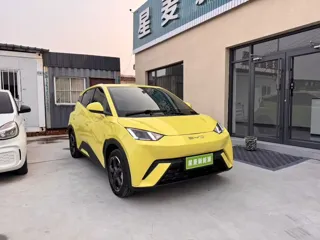 BYD Seagull 2023 купить из Китая, цена 1 293 000 ₽ — Suifenhe Auto