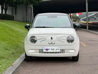 ORA Black Cat 2021 купить из Китая, цена 1 087 000 ₽ — Suifenhe Auto
