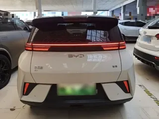 BYD Seagull 2025 купить из Китая, цена 1 418 000 ₽ — Suifenhe Auto