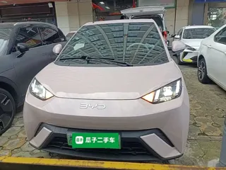 BYD Seagull 2024 купить из Китая, цена 1 332 000 ₽ — Suifenhe Auto