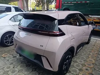 BYD Seagull 2024 купить из Китая, цена 1 332 000 ₽ — Suifenhe Auto