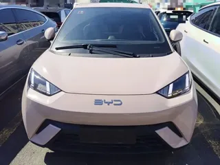 BYD Seagull 2024 купить из Китая, цена 1 363 000 ₽ — Suifenhe Auto
