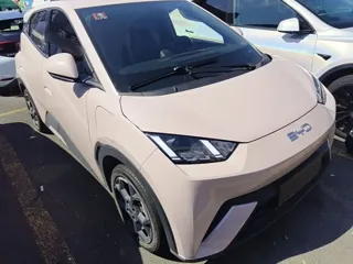 BYD Seagull 2024 купить из Китая, цена 1 363 000 ₽ — Suifenhe Auto