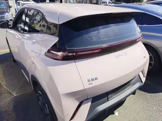 BYD Seagull 2024 купить из Китая, цена 1 363 000 ₽ — Suifenhe Auto