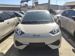 BYD Seagull 2026 купить из Китая, цена 1 652 000 ₽ — Suifenhe Auto