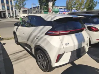BYD Seagull 2026 купить из Китая, цена 1 652 000 ₽ — Suifenhe Auto