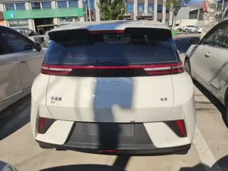 BYD Seagull 2026 купить из Китая, цена 1 652 000 ₽ — Suifenhe Auto