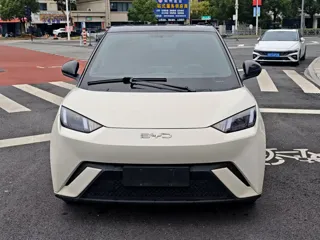 BYD Seagull 2024 купить из Китая, цена 1 216 000 ₽ — Suifenhe Auto